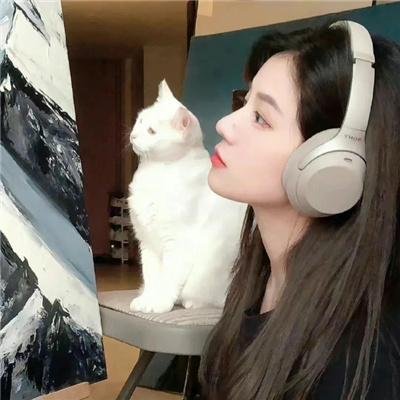错点鸳鸯